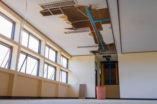 Best Water damage contractors near me  in Rincon Valley, AZ