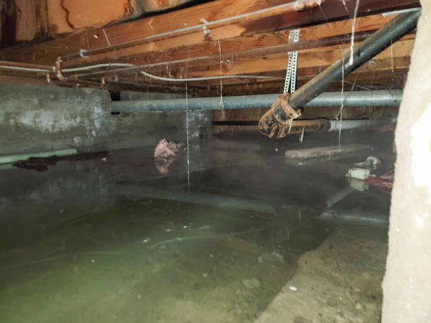 Best Flooded house restoration  in Rincon Valley, AZ