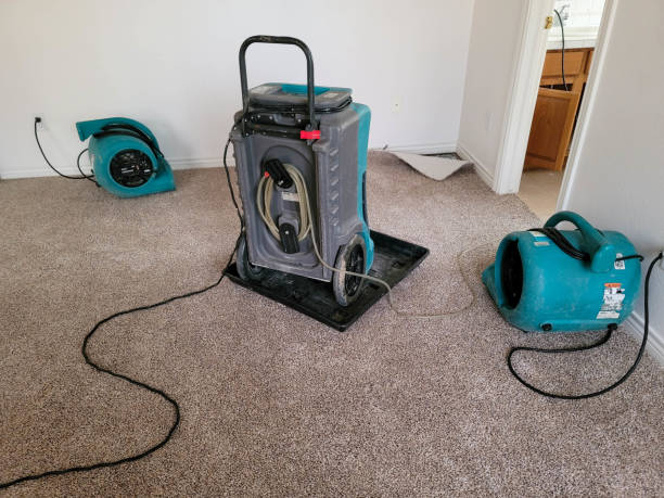 Best Fire Damage Restoration  in Rincon Valley, AZ
