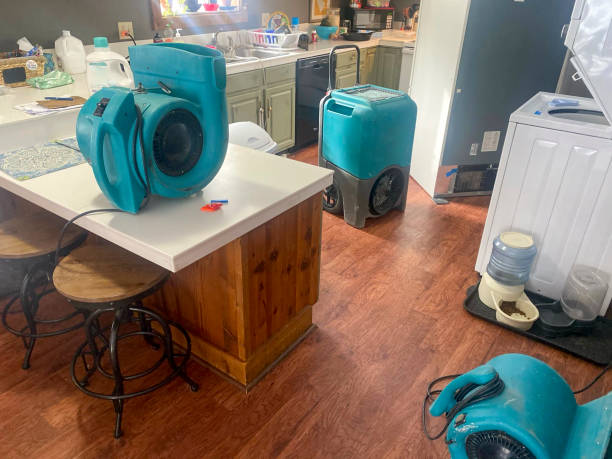 Trusted Rincon Valley, AZ Water damage restoration Experts
