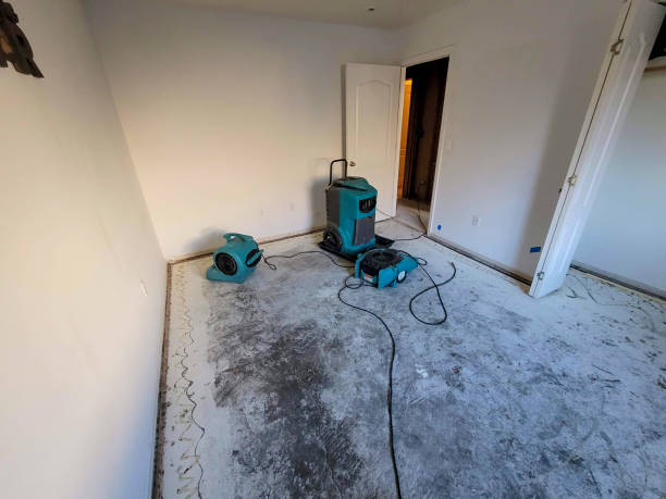 Sewage cleanup and water damage restoration in Rincon Valley, AZ