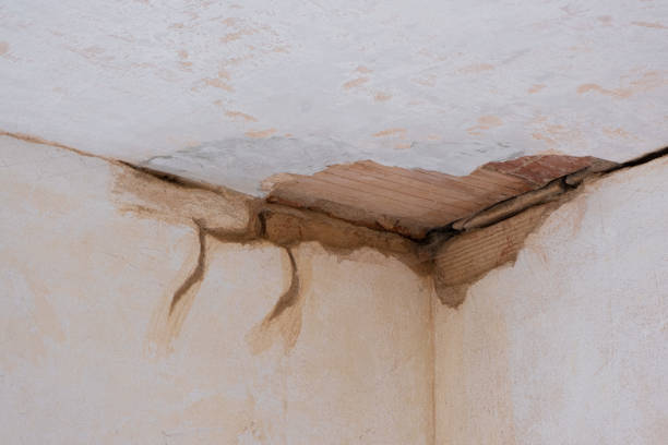 Best Commercial water damage restoration  in Rincon Valley, AZ