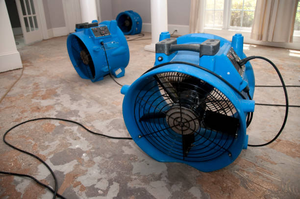 Best Commercial water damage restoration  in Rincon Valley, AZ