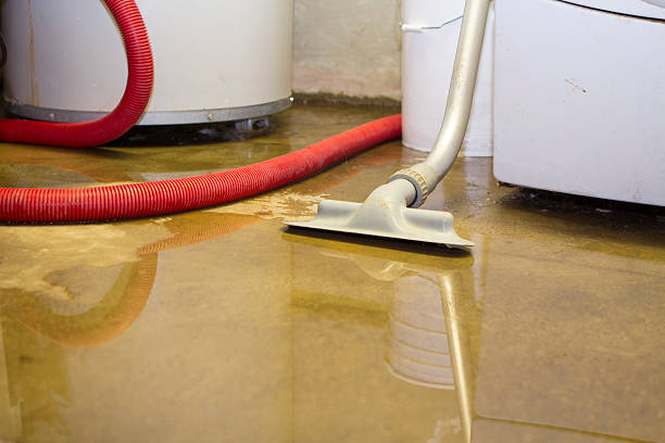 Best Water damage restoration near me  in Rincon Valley, AZ