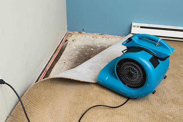 Best 24-hour water damage restoration  in Rincon Valley, AZ